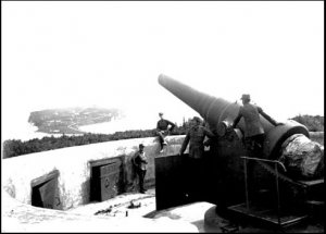 nii01.jpg