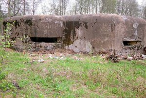 v1.jpg