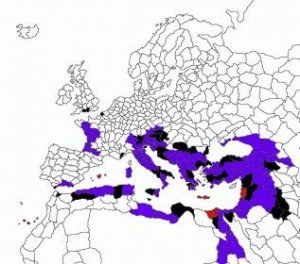 ribelli.jpg