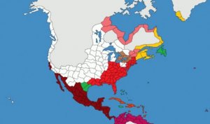 north-america_filled_4841x2865.jpg