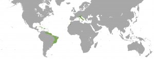 111.jpg