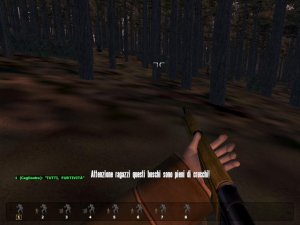 Limitare del bosco.jpg