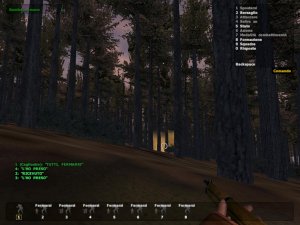 Battaglia nel bosco.jpg