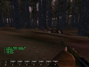 Battaglia nel bosco 2.jpg