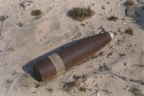 IMG0005.jpg