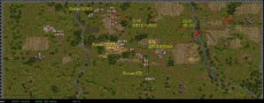 t6.JPG