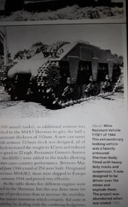 T15E1.jpg