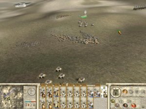 distruz 1a cavall.JPG