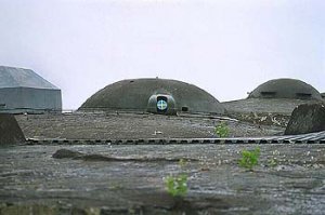b5.jpg