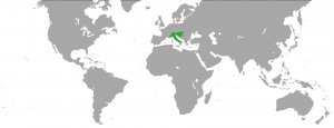 Domini Ostrogoti.jpg