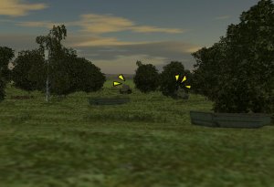 rnd5002.jpg