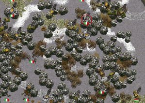 bosco nord.jpg