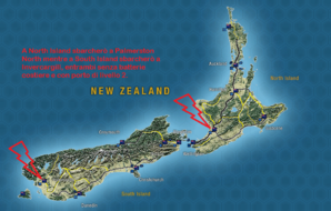 NZ.png