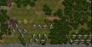 t3.JPG