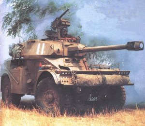Aml6.jpg
