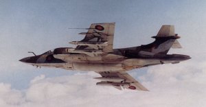 martelbuc1 (1).jpg