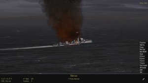 DD.JPG