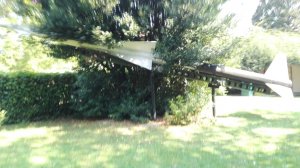IMG_20180809_103948.jpg
